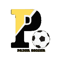 Soccer Sticker by Padua Academy