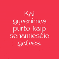 Celebration Birthday GIF by Berta&
