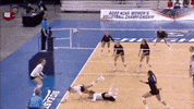 Happy Celebration GIF by NCAA Championships
