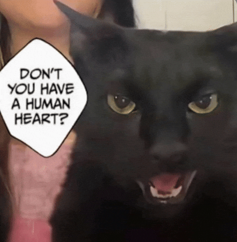 Cat Naoya Meme GIF