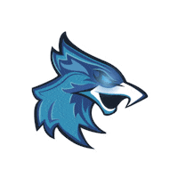 universidadcnci universidad fenix halcones cnci Sticker