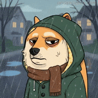 Sad Shiba Inu GIF by Doge Pound