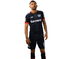 Bayer 04 Werkself Sticker by Bayer 04 Leverkusen