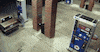 fire spider GIF