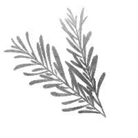 Flower Rosemary Sticker by Bruna Valeria