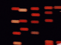 dragon ball z reba GIF