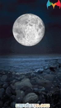 Luna Amigos GIF by Murcianys LLC