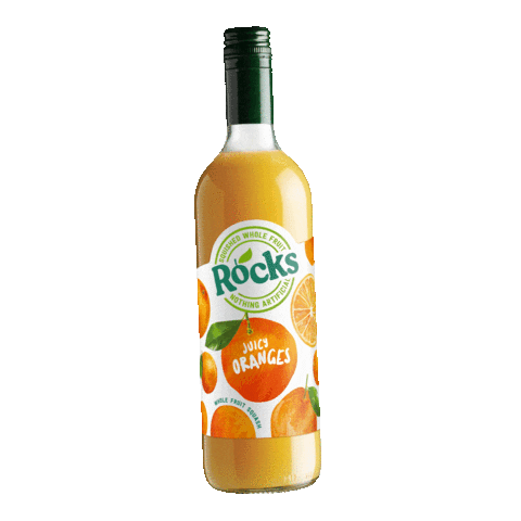 ShloerBGRocks orange squash rockssquash realfruitsquash Sticker