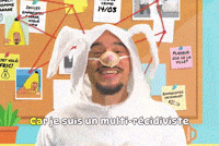 Mister V Lapin GIF