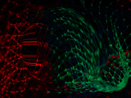 You Can Wow GIF by FranchiseONE.de