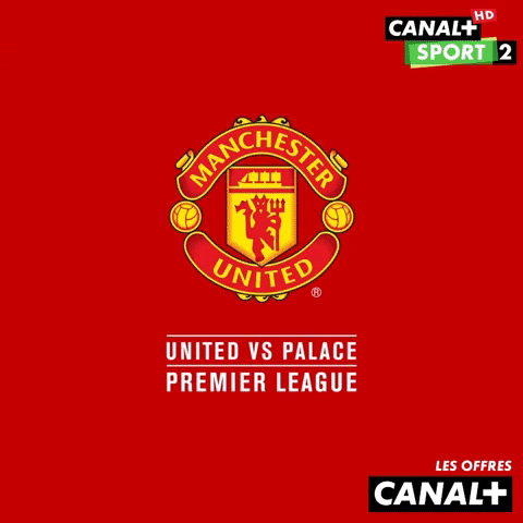 GIF by CANAL+
