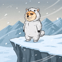 Standing Shiba Inu GIF by Doge Pound