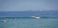 hawaii GIF