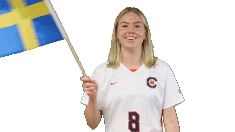 Soccer Flag Sticker by Carson-Newman Athletics