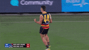 round 3 celebration GIF by Adelaide Crows