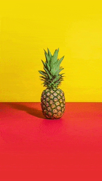 GIF by Allkind Hard Kombucha