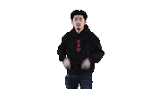 K-Pop Asian Sticker by Hanwe