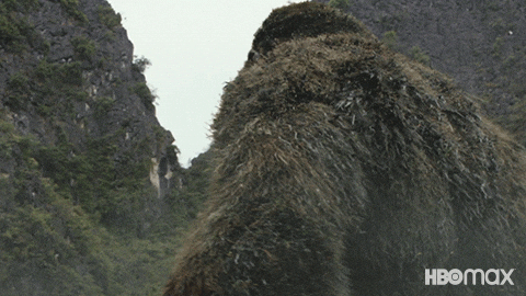 Sad King Kong GIF by HBO Max