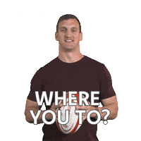 Sam Warburton Reaction Sticker by PrincipalityBS