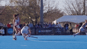 Field Hockey Wildcats GIF by Northwestern Athletics