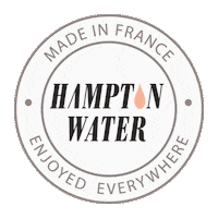 Pink Rose Sticker by Hampton Water Wine Co.