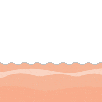 Pink Wave Sticker by Hampton Water Wine Co.