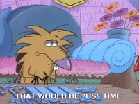 nickrewind nicksplat angry beavers GIF
