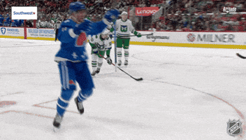 Happy Colorado Avalanche GIF by NHL