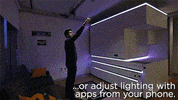 decorating new york GIF by HuffPost