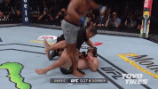 ufc 230 mma GIF by UFC