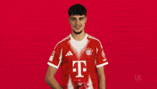 Fc Bayern Pavlovic GIF by Bundesliga