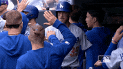 Los Angeles Dodgers Baseball GIF by MLB