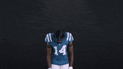 Zach Pascal Nfl GIF by Indianapolis Colts