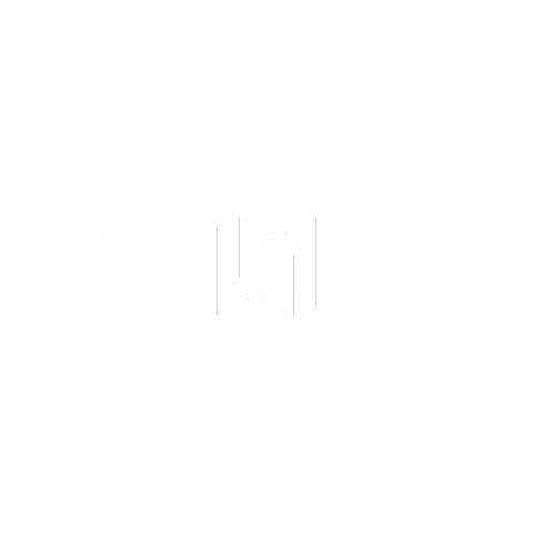WingmanDiscs giphyupload disc golf discgolf wingman Sticker