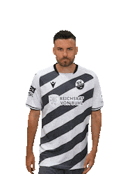 3Liga Sticker by SV Sandhausen