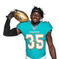 Miami Football Sticker by Miami Dolphins