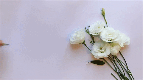 essek giphygifmaker GIF