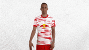 Champions League Facepalm GIF by RB Leipzig