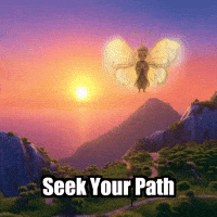 Self-Discovery Journey GIF by BuddhaFlyJourney