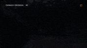 Friends GIF by CANAL+ Polska