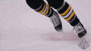 skating ice hockey GIF by NHL