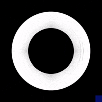 op art GIF by The New Big Poppa E