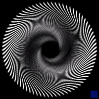op art GIF by The New Big Poppa E