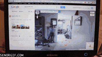 google maps wtf GIF by Cheezburger