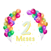 Festa 2 Meses Sticker