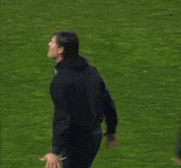 Hands Up Football GIF by Ascoli Calcio 1898