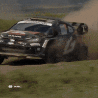 Excited Fast Car GIF by FIA World Rally Championship