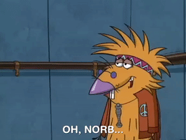 nickrewind nicksplat angry beavers GIF