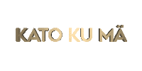 Lukas Leon Kato Sticker by Warner Music Finland