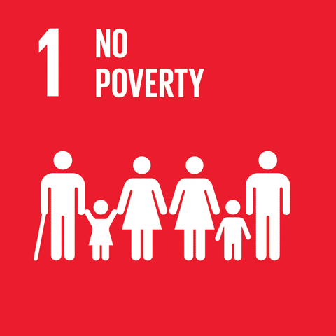 United Nations Goals GIF by World Scouting